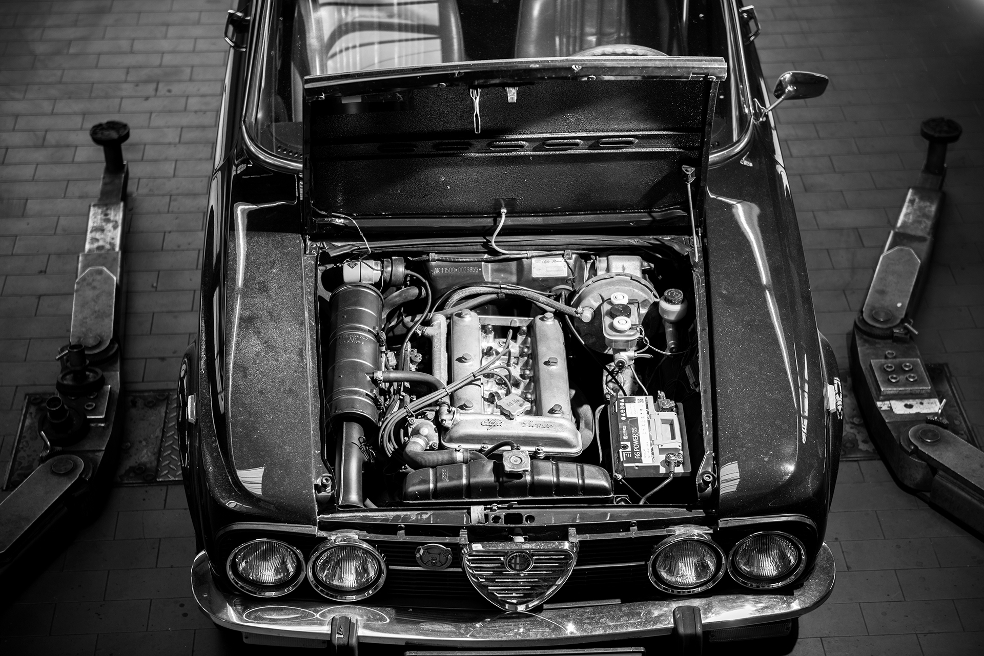 alfa romeo
